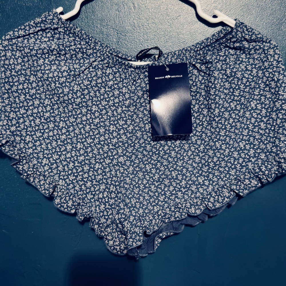 Brandy Melville Blue Floral Shorts